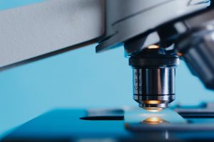 組織を明らかにするとき