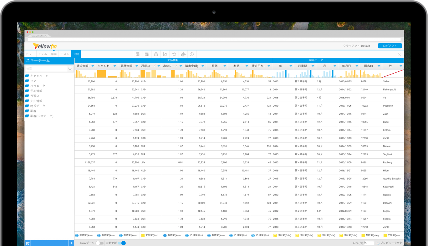 DATA_PROFILING-1368x789-1368x789